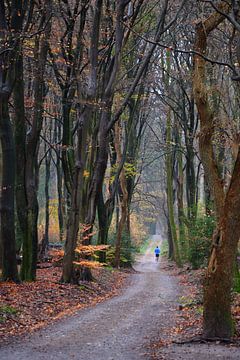 Hardlopen in het bos van Evert-Jan Hoogendoorn