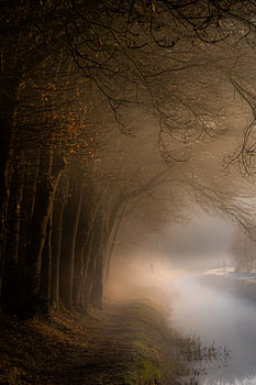 Misterieus sfeertje...Mistige ochtend en zonsopkomst zorgt voor 