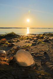 Morgenstimmung auf Usedom von Thomas Jäger