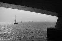 sailing