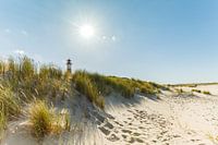 Sylt mijn eiland