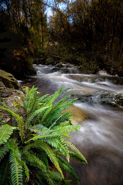 Boating at Bayehon stream by Mark Bolijn