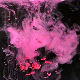 Feuerwerk ohne Feuer von joyce kool