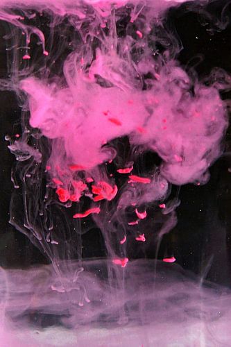 vuurwerk zonder vuur van joyce kool