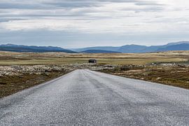 Lonely Path through the Tundra of Rondane, Norway by Dylan Winter Visuals