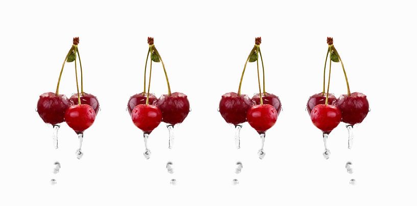 SF00987829 Four cherry bunches dripping with water by BeeldigBeeld Food & Lifestyle