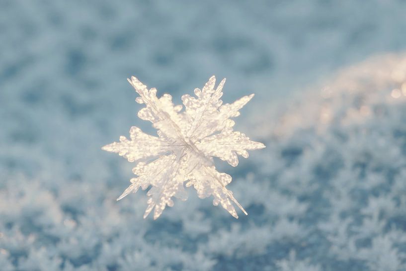 Vliegend sneeuwkristal over besneeuwde grond met geringe scherptediepte van Besa Art