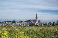 Nijmegen skyline van Roland Smanski thumbnail