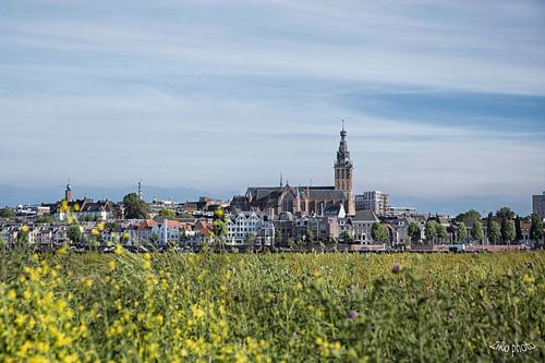 Nijmegen skyline