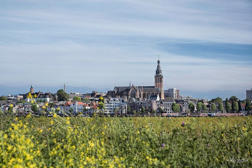 Nijmegen skyline van Roland Smanski