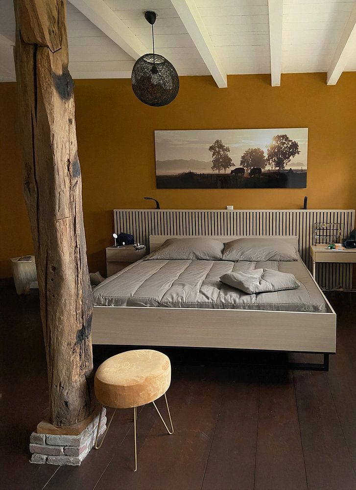 Kühe im Nebel, wenn die Sonne aufgeht von Affect Fotografie