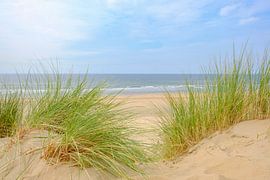 Summer in the dunes at the North Sea Beach by Sjoerd van der Wal Photography