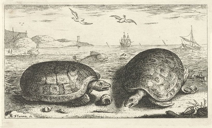 Deux tortues sur la plage par Albert Flamen, 1664 par Gave Meesters