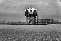 Toilet house Sankt Peter Ording