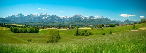 Weidezicht op de Ostallgäuer Alpen
