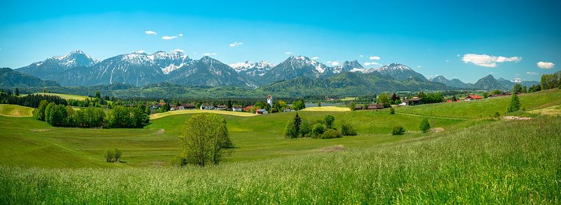Meadow view of the Ostallgäu Alps by Leo Schindzielorz