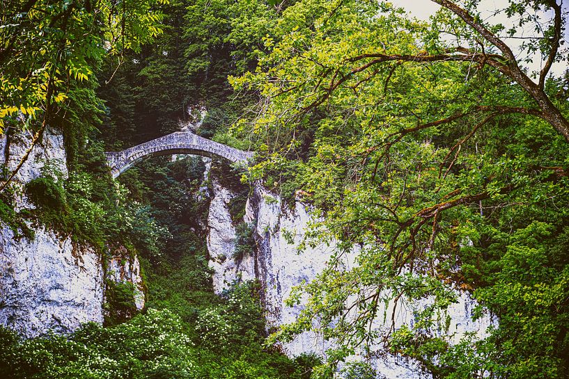 fürstliche Teufelsbrücke von Thomas Heitz