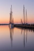 Safe in the Harbour