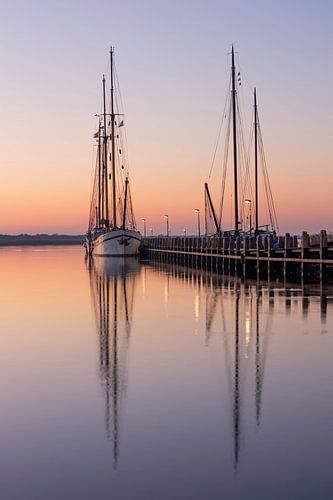 Sicher im Hafen von Timothy Ricketts