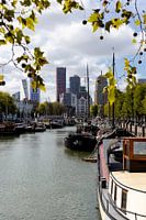 Vue à travers la Maison Blanche à Rotterdam