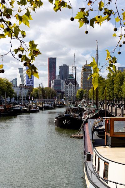 Vue à travers la Maison Blanche à Rotterdam par MAT Fotografie