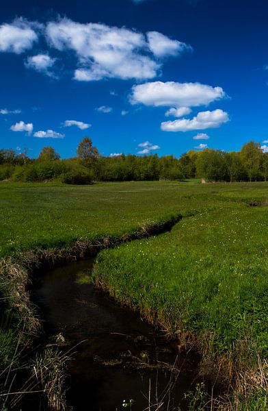 Bavelse lei gespiegeld in de wolken, Wolfslaar, Breda, Noord-Brabant, Holland, Nederland Afbeelding  van Ad Huijben