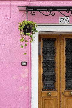 Roze huis met plant op Burano van Awander