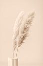 Pampas Grass Begie 13, 1x Studio III by 1x thumbnail