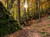 Quirlpromenade in der Sächsischen Schweiz -  Goldener Herbst von Pixelwerk Miniaturansicht
