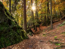 Quirlpromenade in Saksisch Zwitserland - Gouden herfst