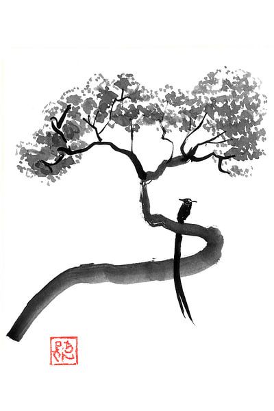 tchitrec on tree by Péchane Sumie