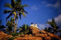 Oasis de paix