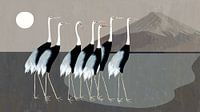 Japan cranes on gray by Mad Dog Art thumbnail