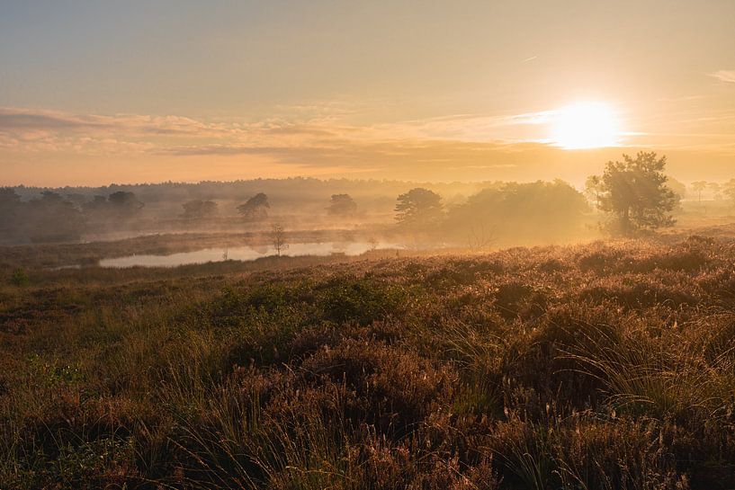 Sunrise over the moors by Dennis van Zetten