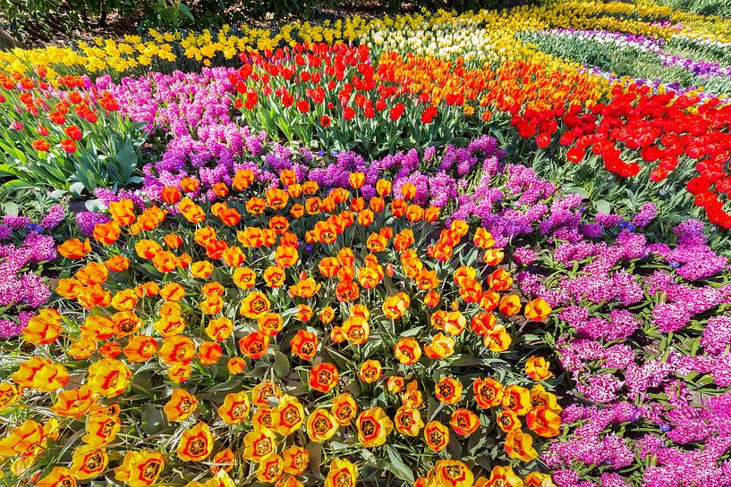 Bloemenperk met tulpen hyacinten en narcissen par Ben Schonewille