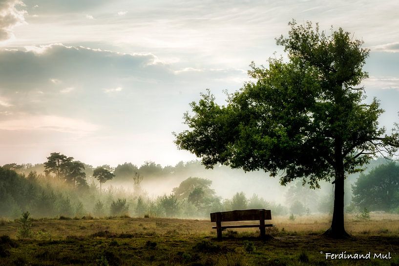 The sun breaking through the fog by Ferdinand Mul