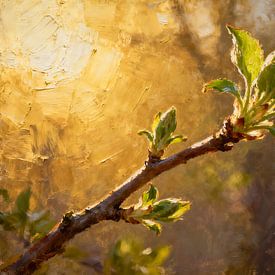 Une branche printanière baignée d'une lumière dorée sur Kristin M