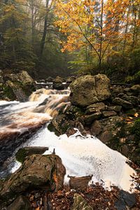 Adembenemende Waterval in de Belgische Ardennen: Herfstlandschap