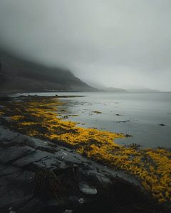 Strandspaziergang in Island