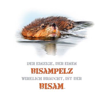 Bisam und Pelz von Dirk H. Wendt
