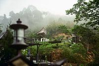 Paradise in the mist of Khao Sok, Thailand