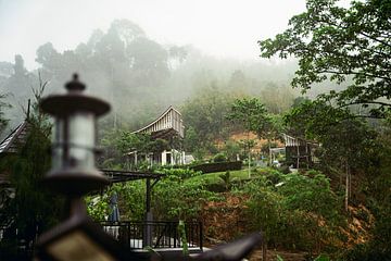 Paradijs in de mist van Khao Sok, Thailand van Raymond Gerritsen