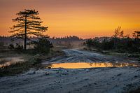 Sunrise with reflection in water.  Nature
