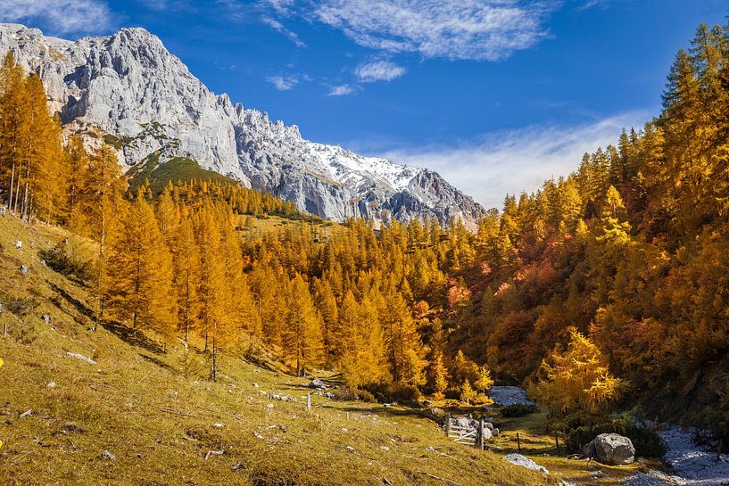 Hiking trail between Neustattalm and Bachlalm on the south face of the Dachstein by Christian Müringer