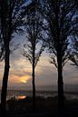 Früh morgens dunkler Sonnenaufgang mit Bäumen von Bobsphotography Miniaturansicht