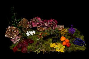 Automne
