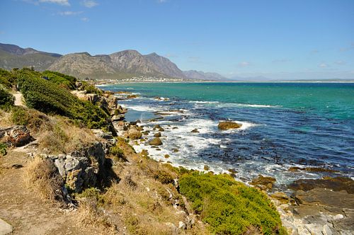 Beautiful coast of South Africa