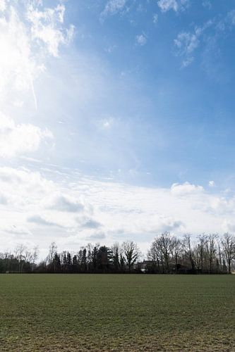 Weiland met Hollands Licht