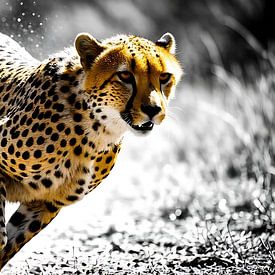 Sprinting Cheetah Action Photography - Big Cat Wildlife Wall Art Decor by MIROKKU