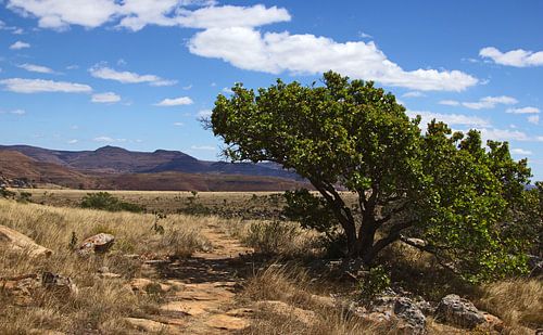 Wandelpad in Zuid-Afrika